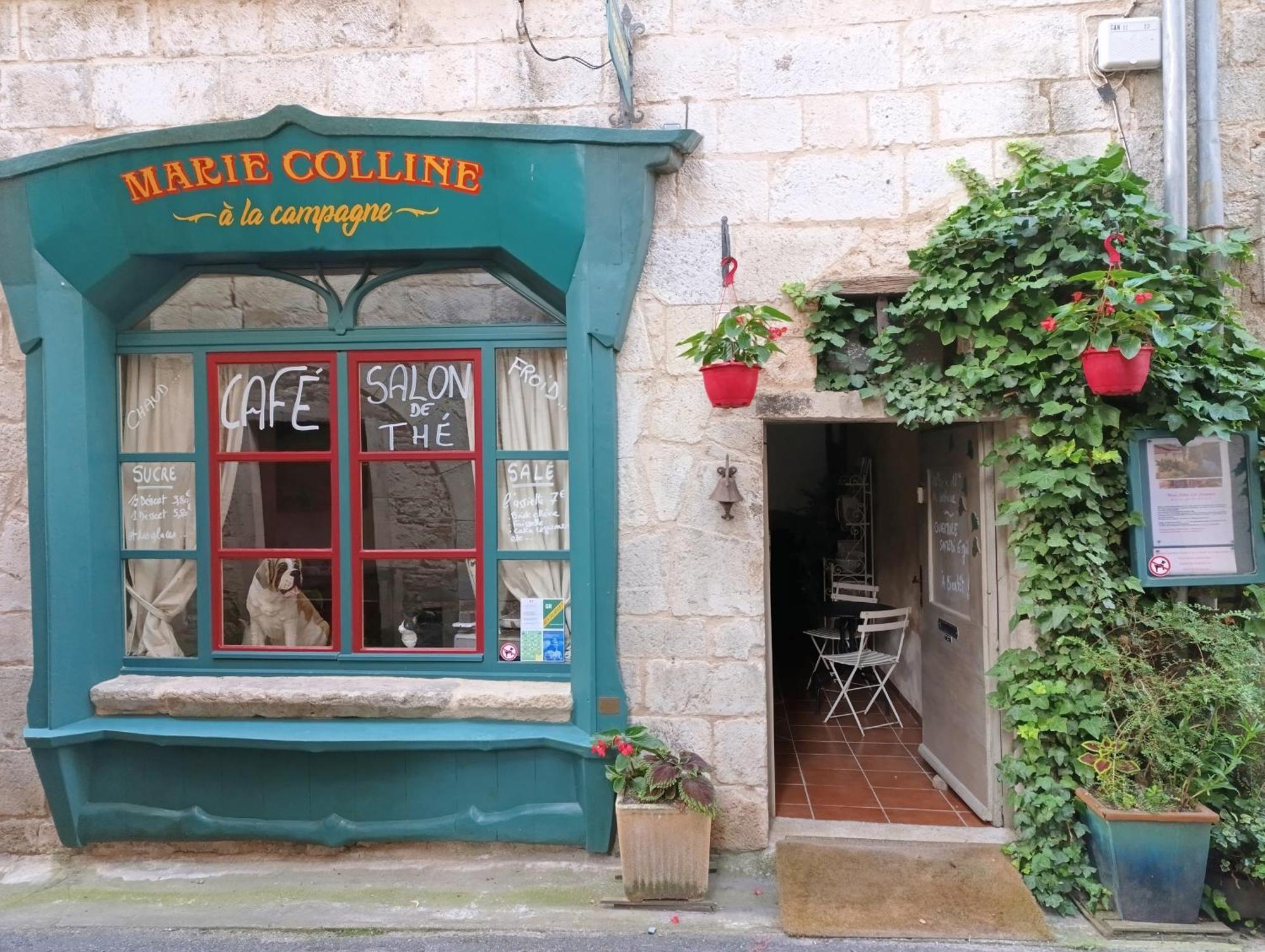 Marie Colline A La Campagne Bed and Breakfast Saint-Antonin Buitenkant foto